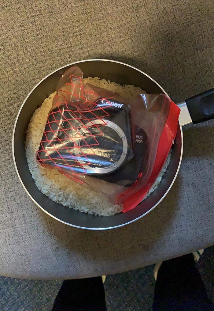 rice