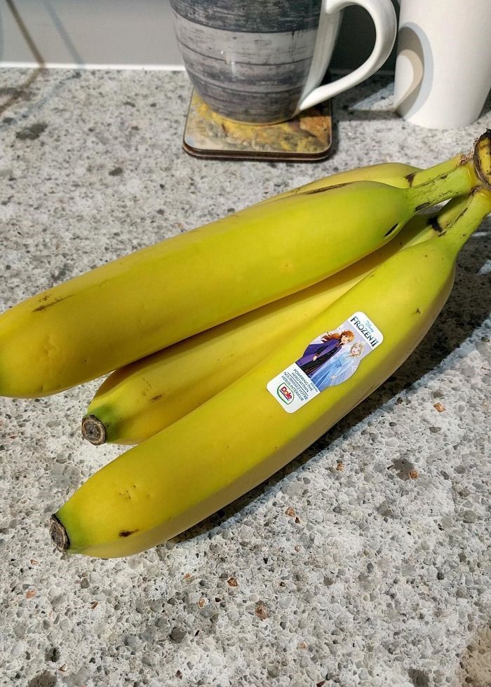fruit