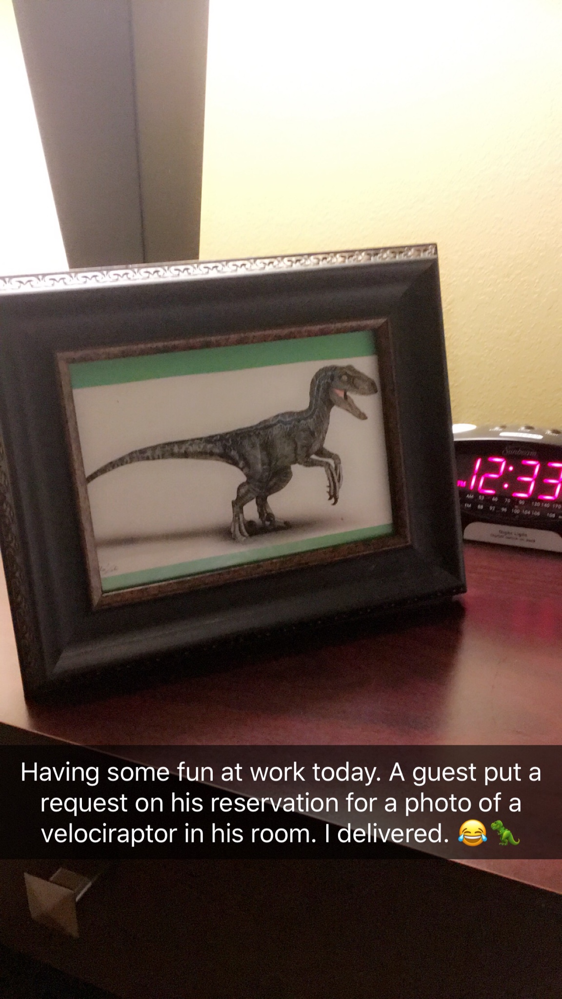 Man Pranks Hotel With Silly Requests And They Complete Each One