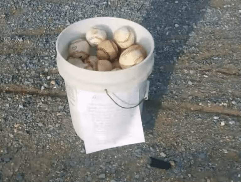 Grandfather leaves bucket full of baseballs and a note about cherishing
