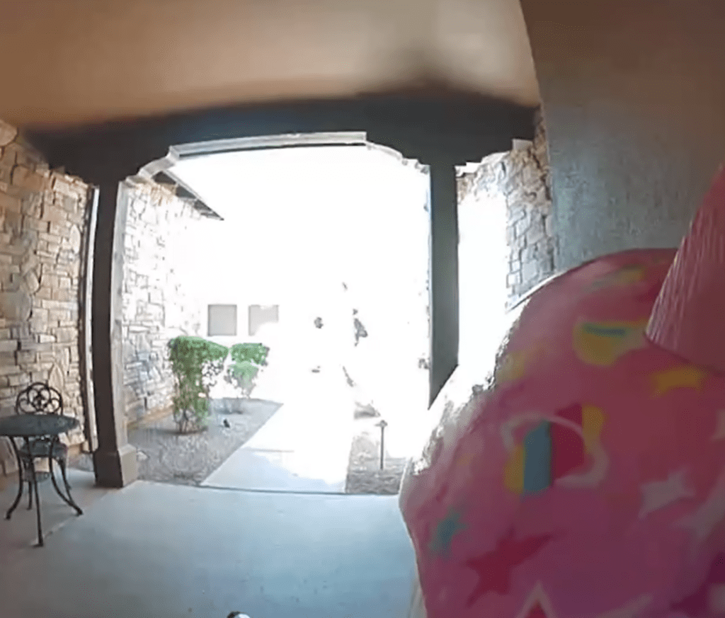 Frightened Girl Talks To Neighbor On Doorbell After Running From Bobcat