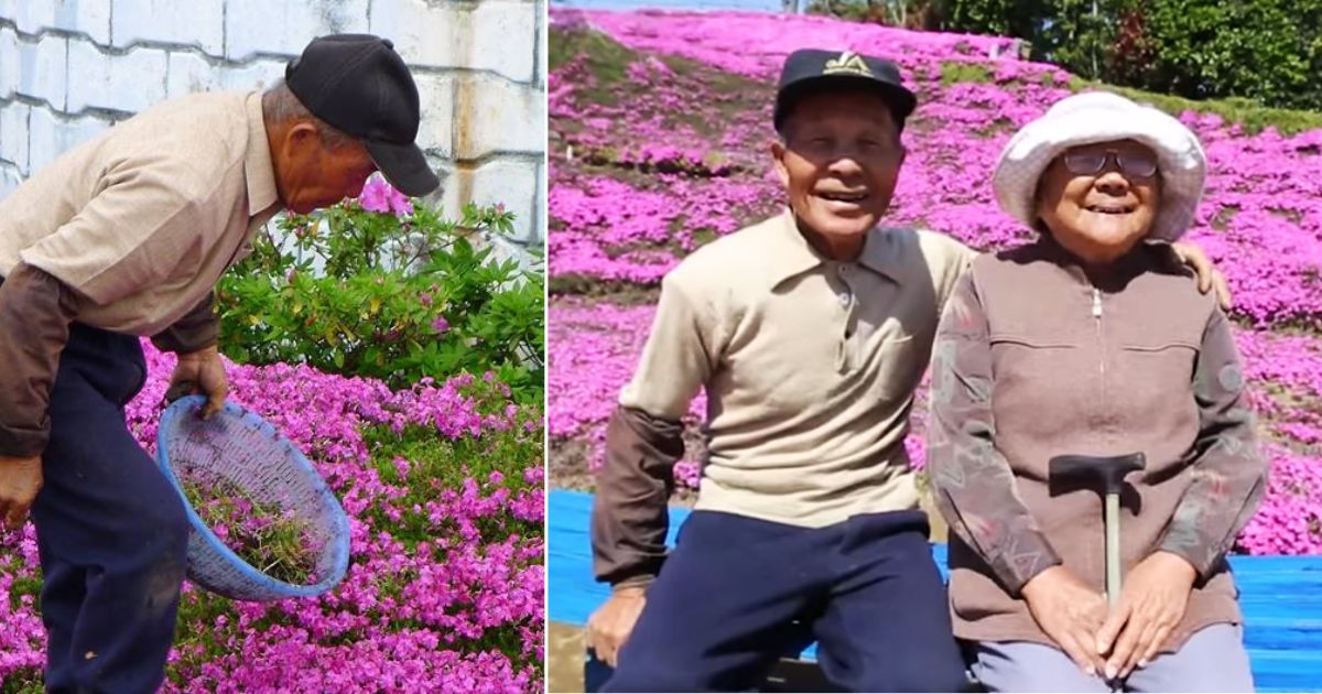 Husband spends years planting thousands of her favorite flowers for blind wife to smell